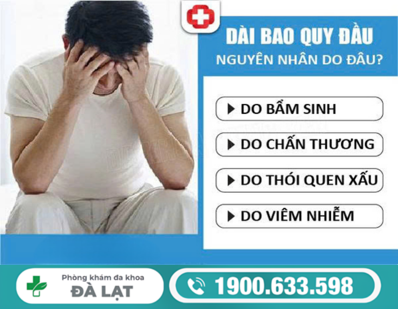 Hình ảnh minh họa